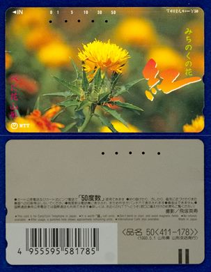 NTT 50(411-178) 1993.5.1