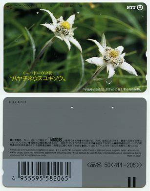 NTT 50(411-206)