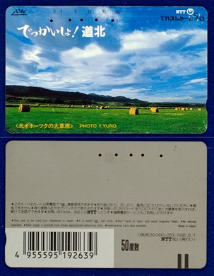 NTT 50(430-263) 1990.6.1