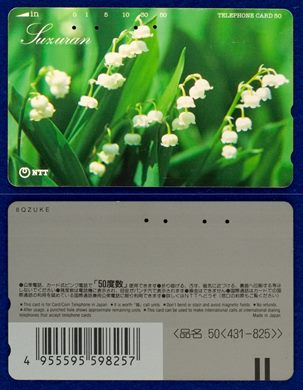 NTT 50(431-825) 2