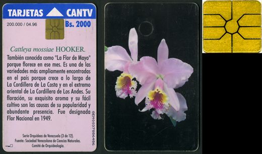 CANTV - 03 - 1996-04 - 2000Bs