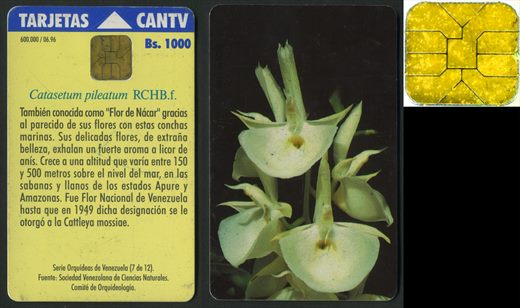 CANTV - 07 - 1996-06 - 1000Bs