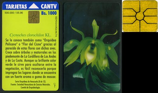 CANTV - 08 - 1996-05 - 1000Bs