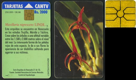 CANTV - 11 - 1996-06 - 2000Bs