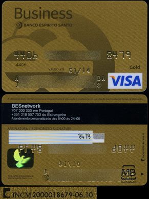 Banco Espirito Santo Business Gold Visa 2010-06
