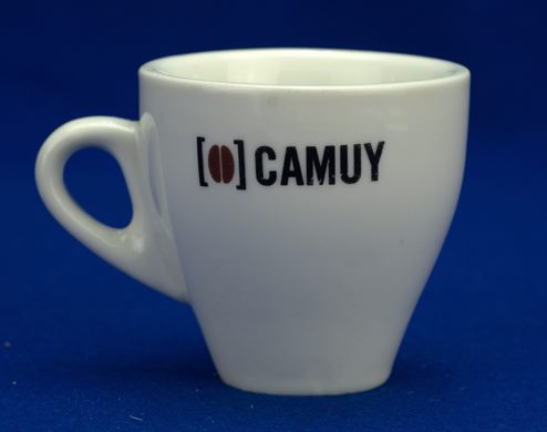 Camuy