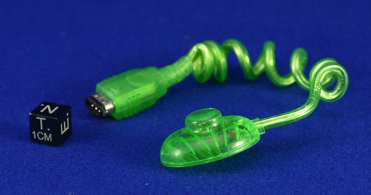 Worm light green