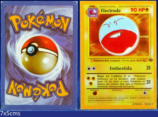 Pokemon Jungla 18-64