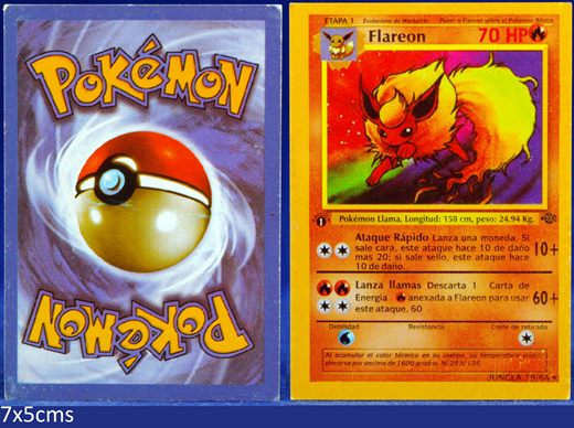 Pokemon Jungla 19-64