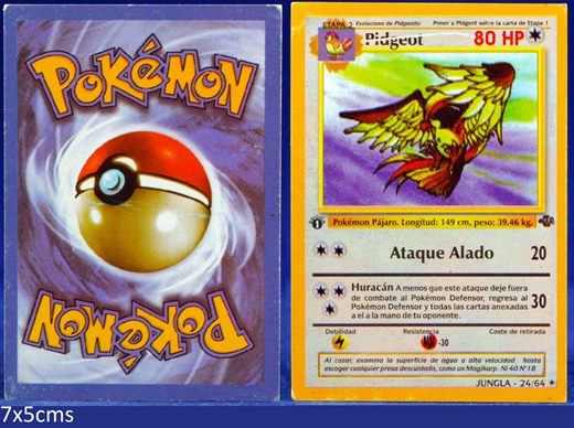Pokemon Jungla 24-64