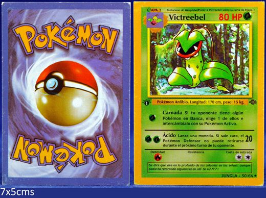 Pokemon Jungla 30-64