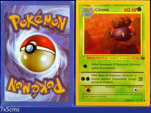 Pokemon Jungla 37-64