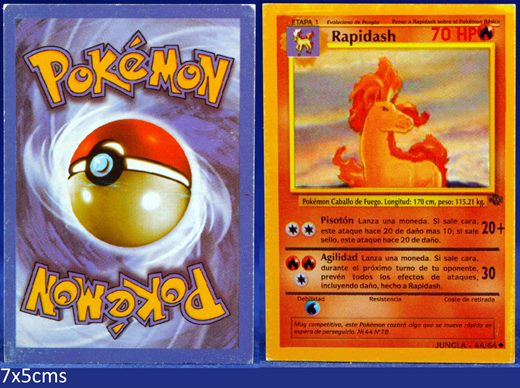 Pokemon Jungla 44-64