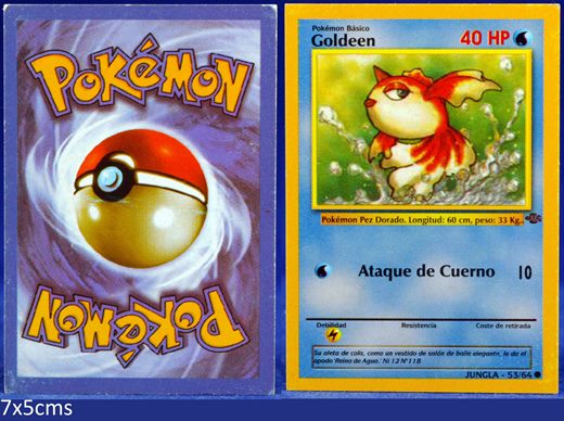 Pokemon Jungla 53-64