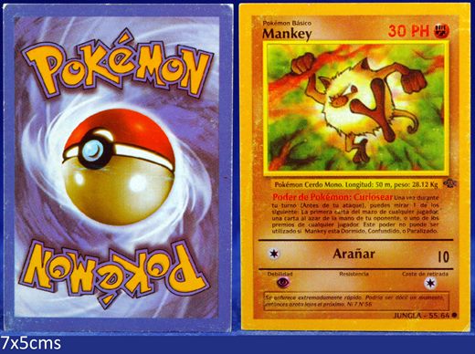 Pokemon Jungla 55-64