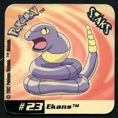 Pokemon 23 (magnet)