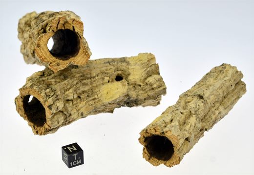 tubos de cortica