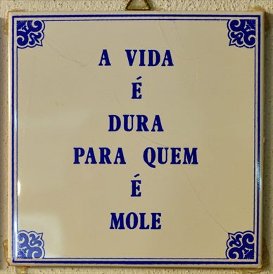 A vida e dura...