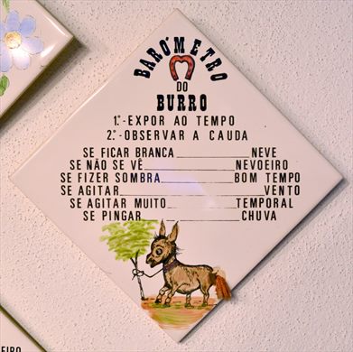 Barometro do burro