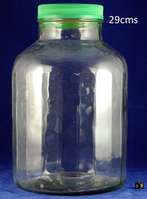 Frasco 29cms