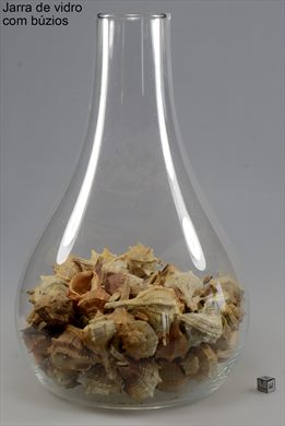 Jarra de vidro cristalino com buzios