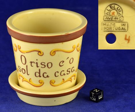 Vaso- 2
