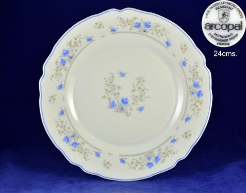 Prato 24cms (arcopal)