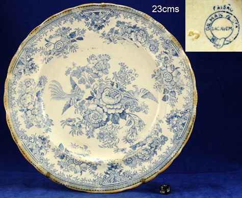 Prato 23cms (Gilman)
