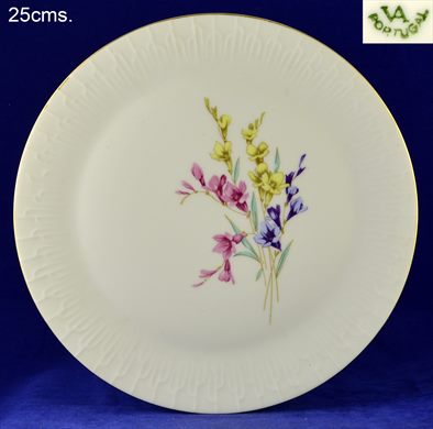 Prato 25cms (Vista Alegre)