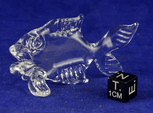 Peixe em vidro transparente