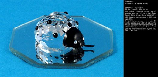 LADYBIRD - LADYBUG 190858