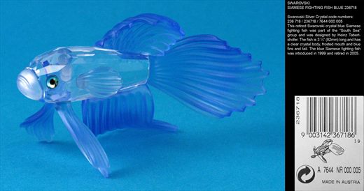 SIAMESE FIGHTING FISH BLUE 236718