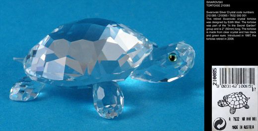 TORTOISE 210085