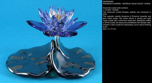 WATERLILY BLUE VIOLET 1141630