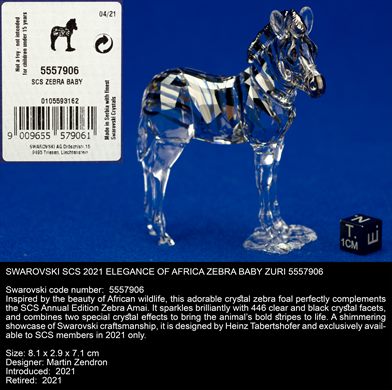 SCS 2021 ELEGANCE OF AFRICA ZEBRA BABY ZURI 5557906