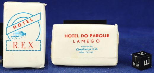 Hotel REX - Hotel do Parque - Lamego