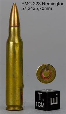 PMC 223 REM