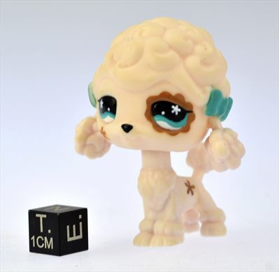 Hasbro