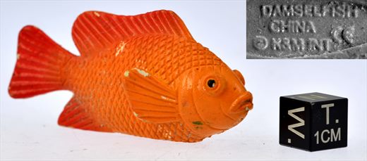 Damselfish KM