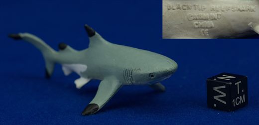 Black Tip Reef Shark (KM)