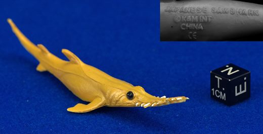 Japanese Sawshark (KM)