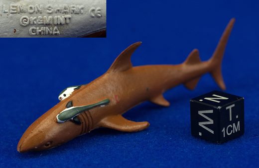 Lemon Shark (KM)