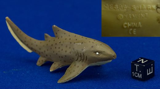 Zebra Shark (KM)