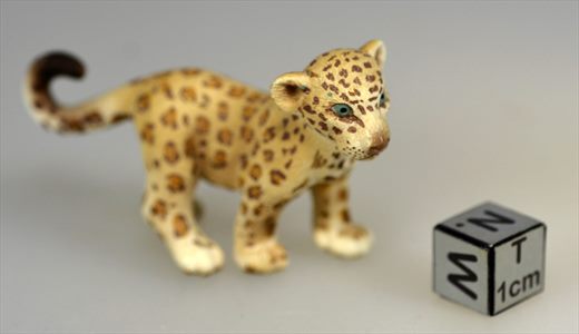 Tigre