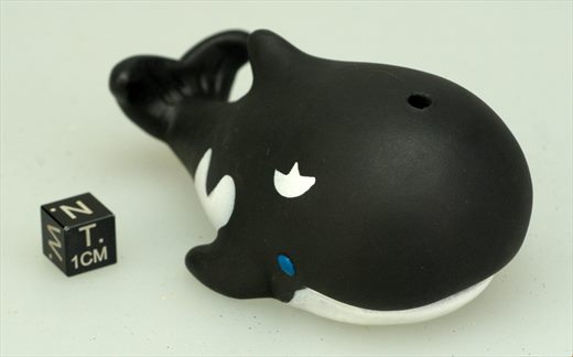 Orca