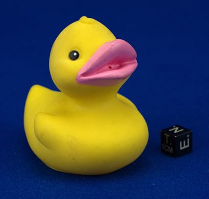 Rubber Duck