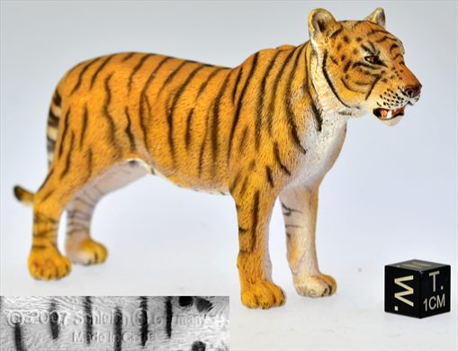 Tigre