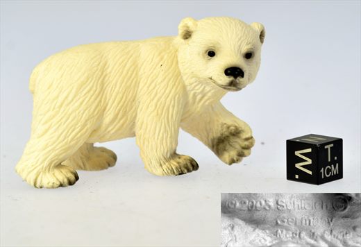 Urso Polar