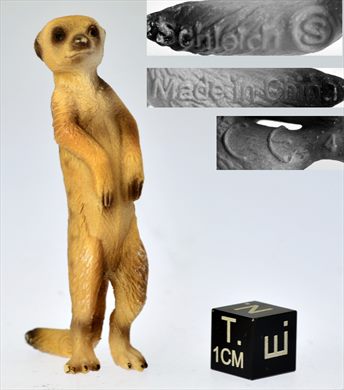 Suricata