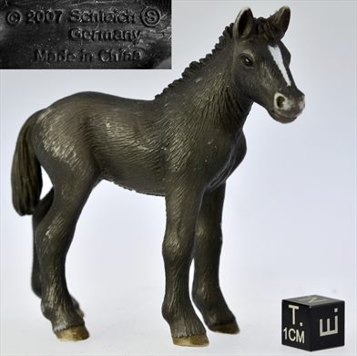Cavalo preto